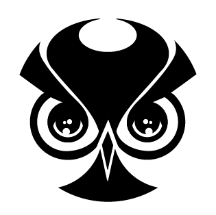 Wild Owl Studio