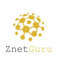 ZnetGuru [ Web Design ]