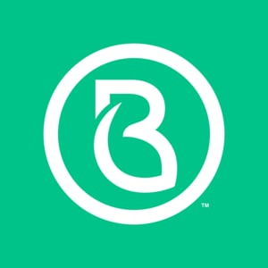 Brandmint