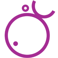 Monkfish Web Design