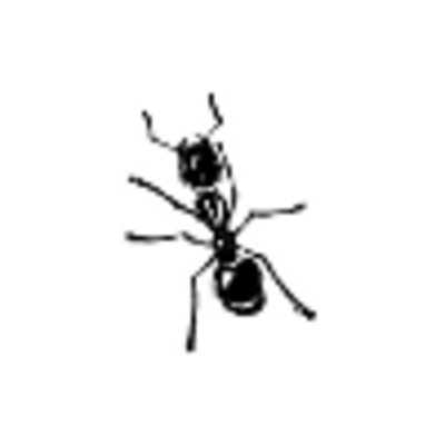AntWorks SRL