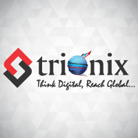 Trionix Internet Solutions LLC