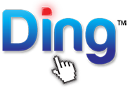 dingppc.com