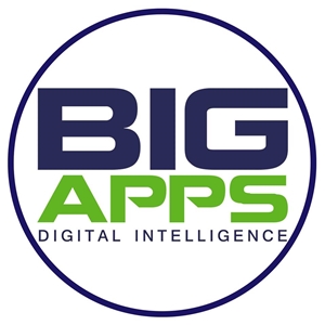 Big Apps Web, Mobile & Social Applications