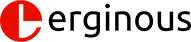 Erginous