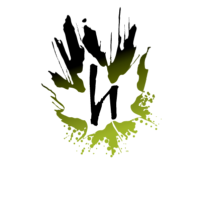 Haven Media