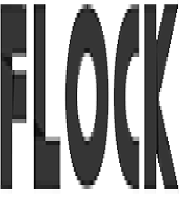 Flock