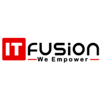 IT Fusion software house