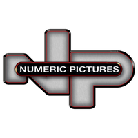 Numeric Pictures
