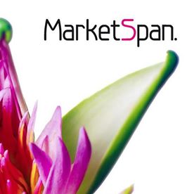 Marketspan Ltd