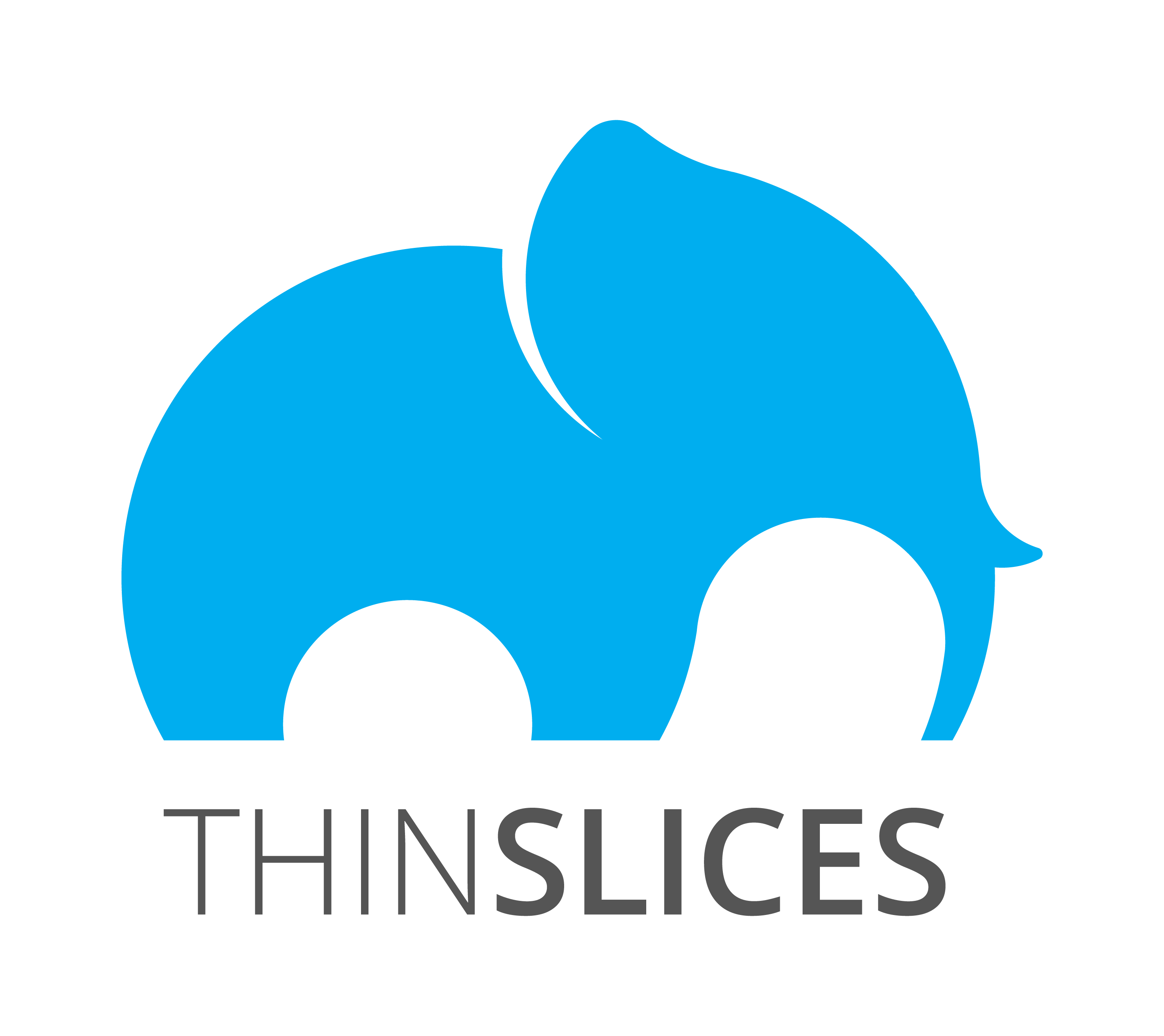 Thinslices