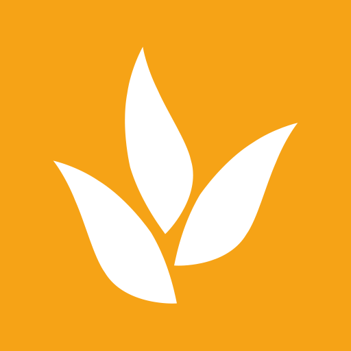 codefarm.com.br