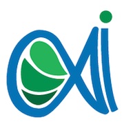 App Innovation