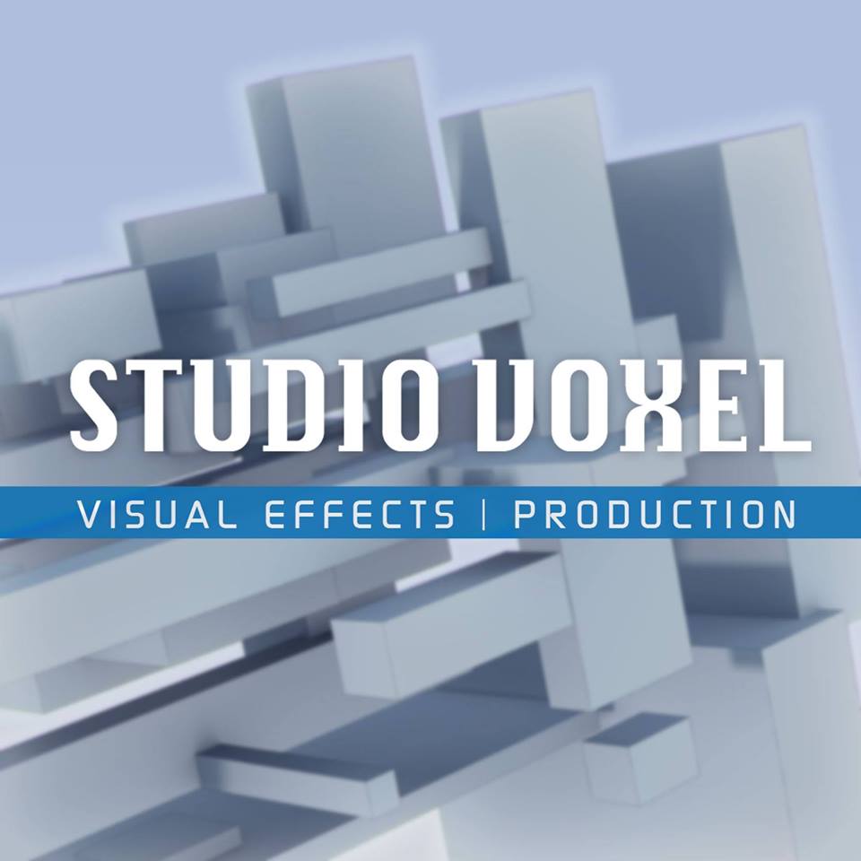 Studio Voxel