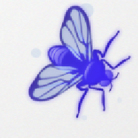 Blackfly Interactive LLC