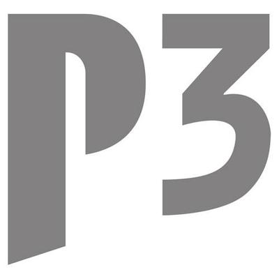 p3-ds.com