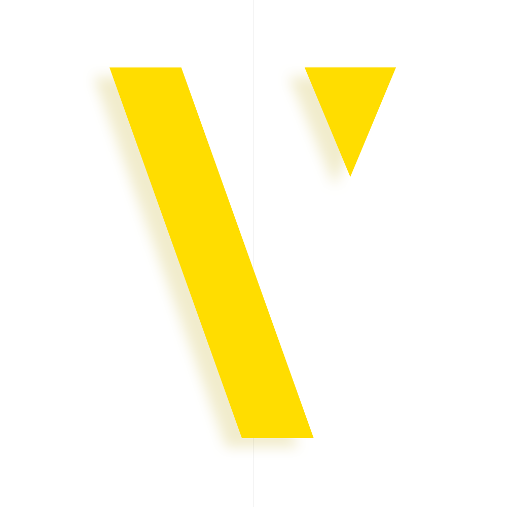 VSTORM Company