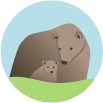 Brown Bear Creative