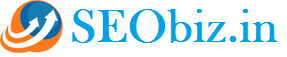 SEObiz.in