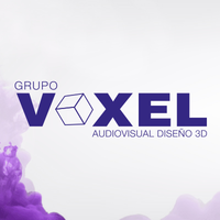 VOXEL Group