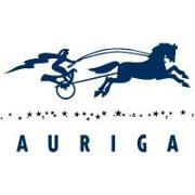 Auriga, Inc.