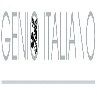 Genio Italiano ADV Torino