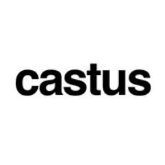 Castus Web Design