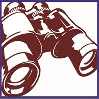 Market Insights, LLC