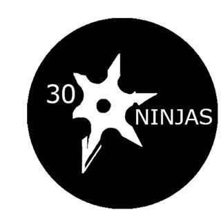 30 Ninjas