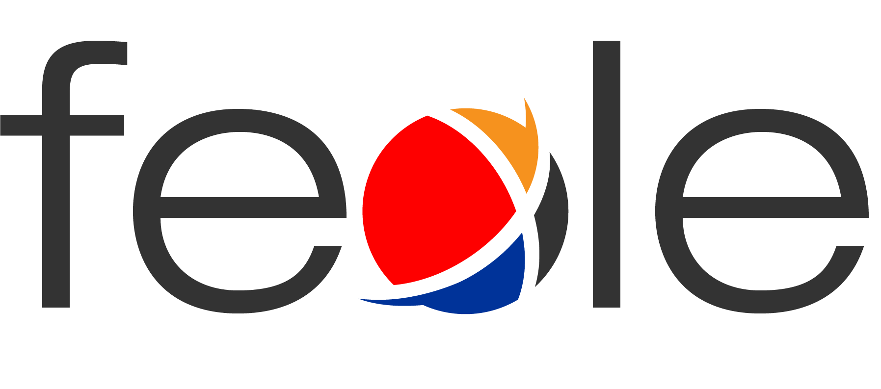 Fexle Infotech Private Limited