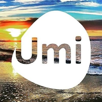 Umi Digital Solutions, Ltd.