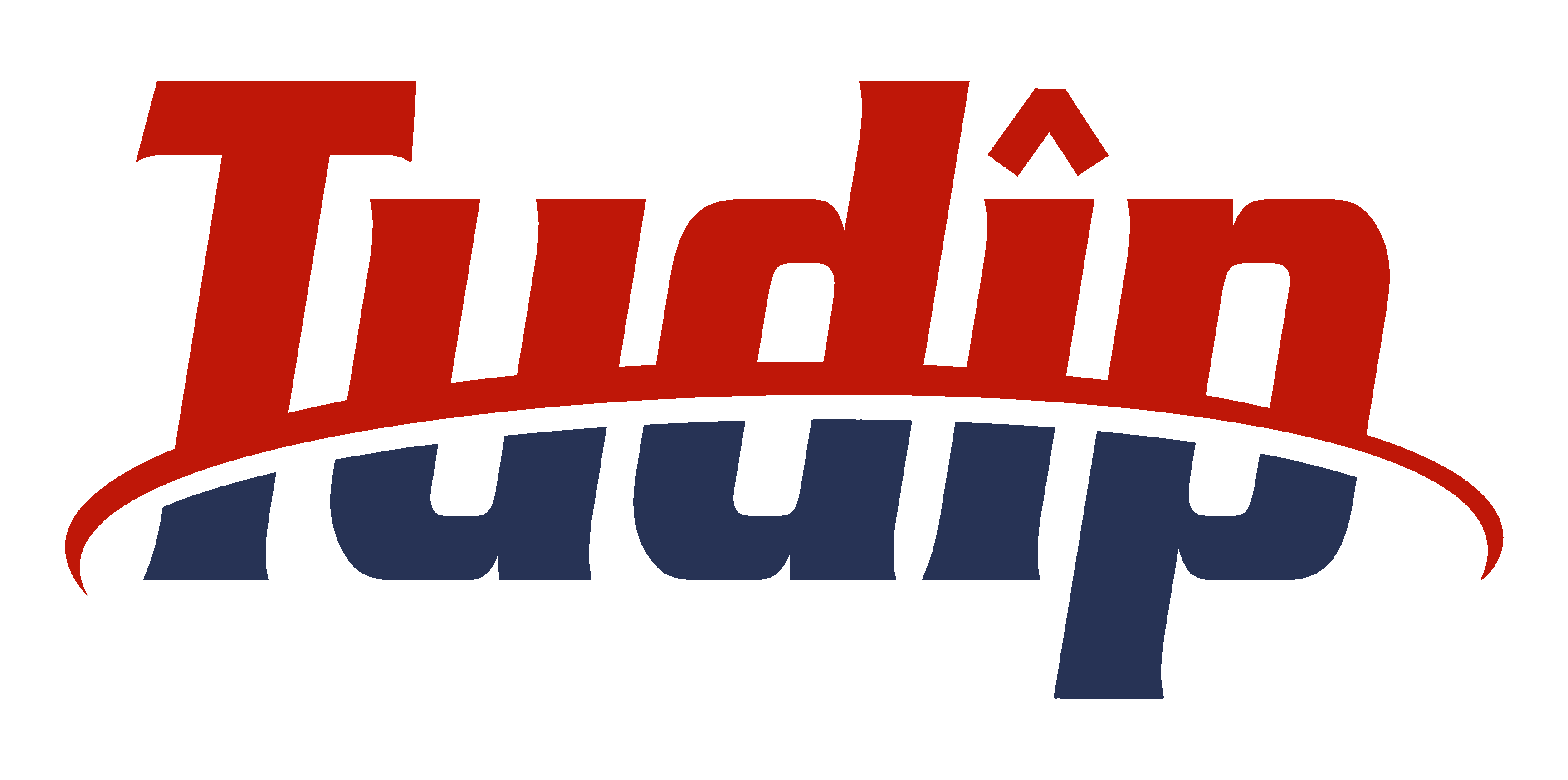 Tudip Technologies