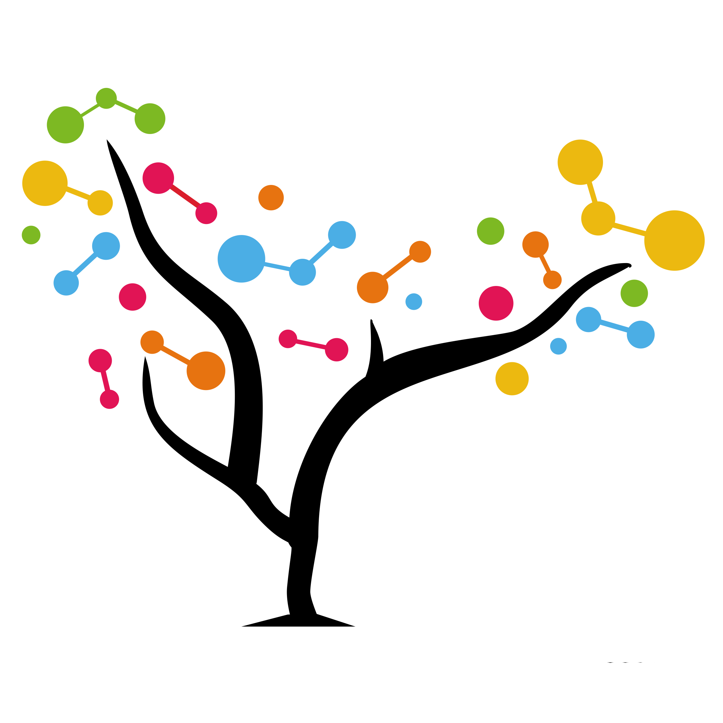 Dataforest