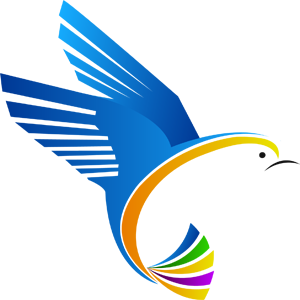 SLiT Solutions Pvt Ltd