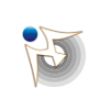 MetaOption, LLC