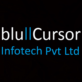 bluCursor Infotech Pvt Ltd