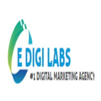 E Digi Labs