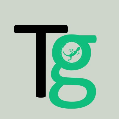 Techgecko