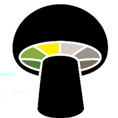 Creative Forager