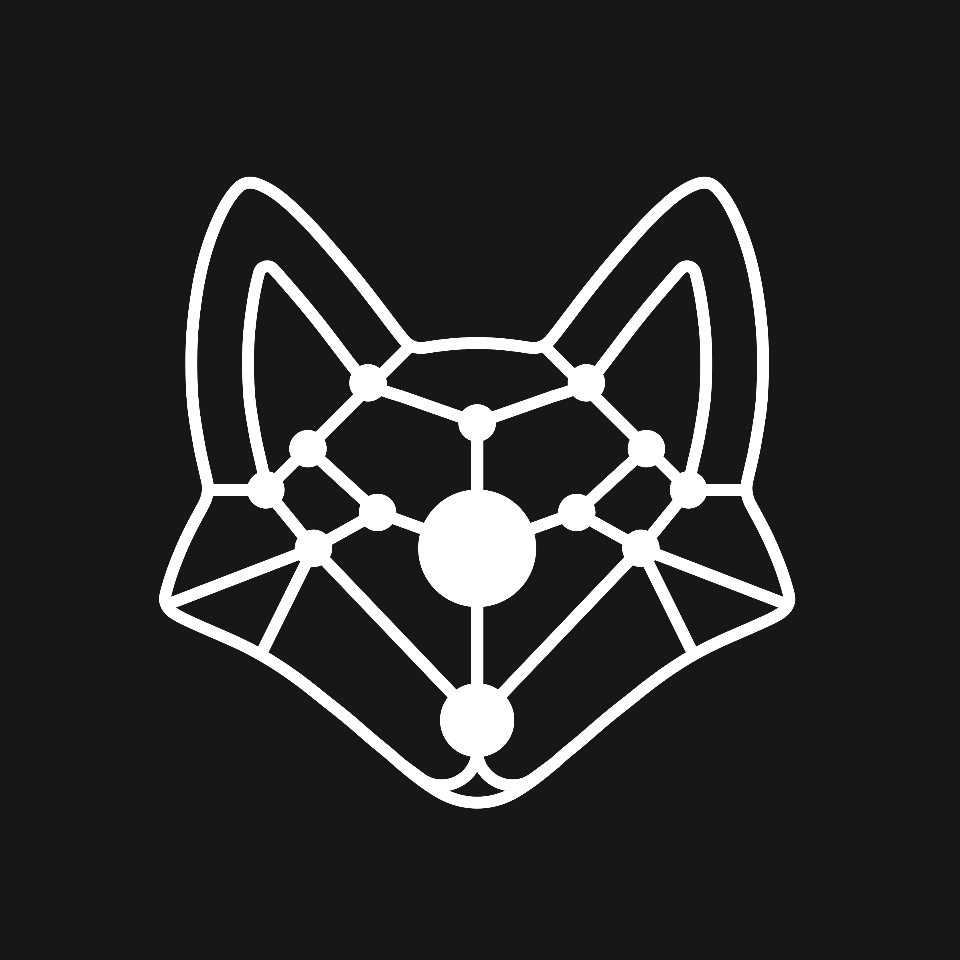 Night Fox