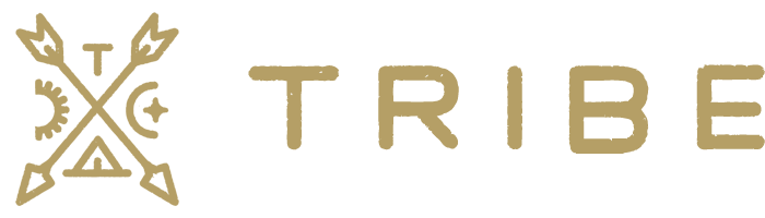 Tribe Interactive, LLC.