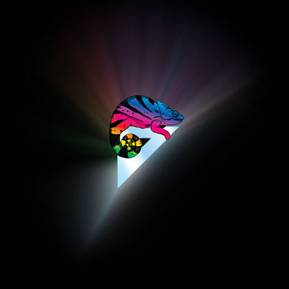 Chameleon Design