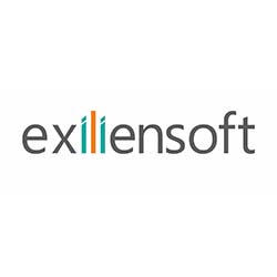 Exiliensoft Consulting Services