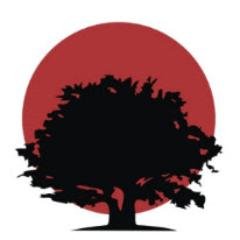 Ruby Moon Consulting