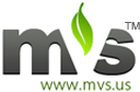 MVS Software Consulting Pvt Ltd