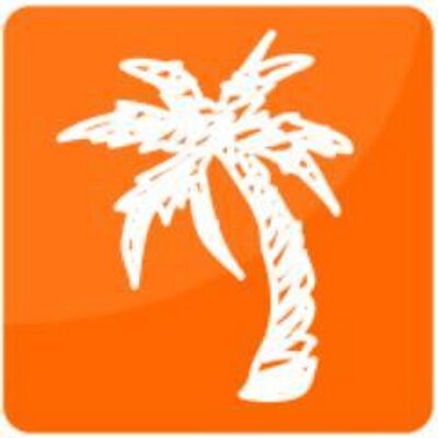 Palm Tree Branding & Web Design