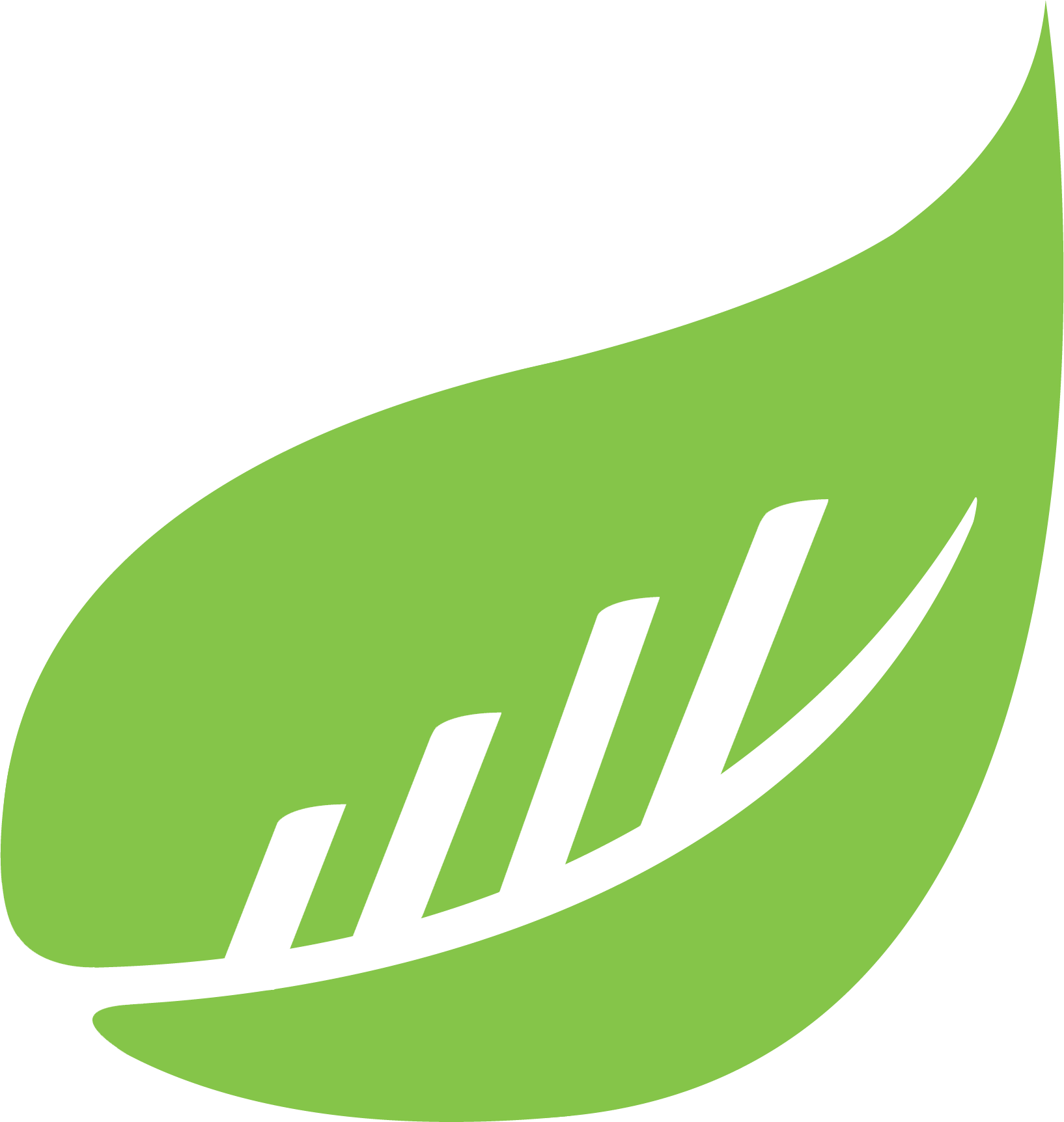BusySeed