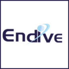 endivesoftware.com