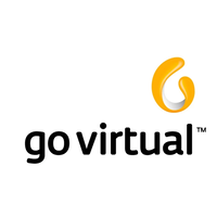 GoVirtualMx