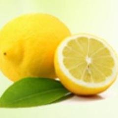 Nonegar Pardazesh Co.